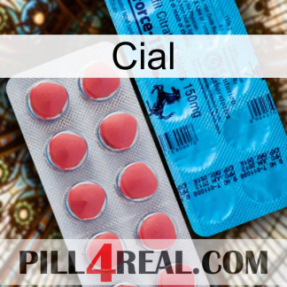 Cial new14